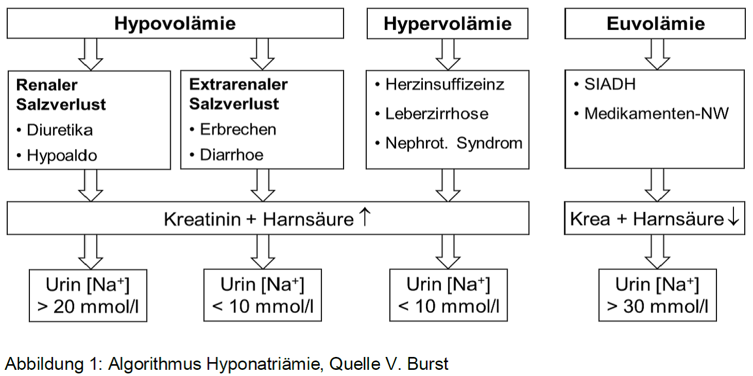 Hyponatriämie Schema